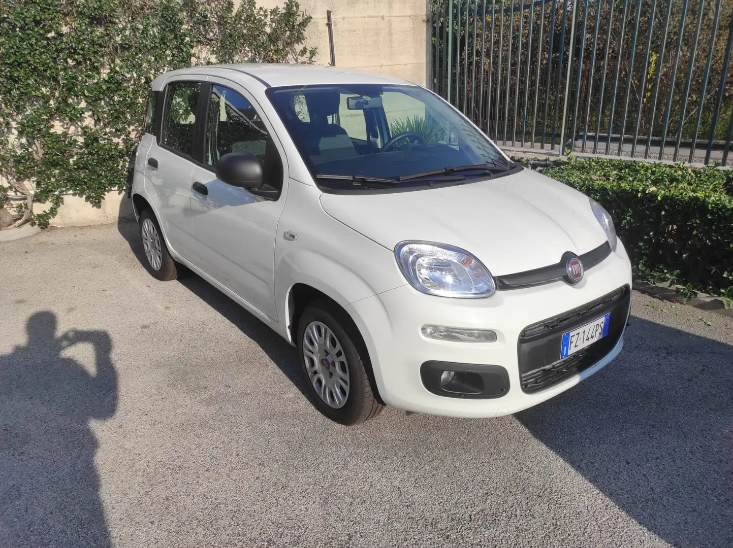 Fiat Panda Panda III 2016 1.2 Easy s Blanc - 1