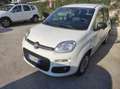 Fiat Panda Panda III 2016 1.2 Easy s Blanc - thumbnail 2