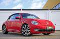 Volkswagen Beetle Cabriolet Design DSG Xenon Leder Sitzhzg. Rouge - thumbnail 4