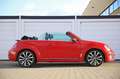 Volkswagen Beetle Cabriolet Design DSG Xenon Leder Sitzhzg. Kırmızı - thumbnail 6