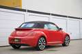Volkswagen Beetle Cabriolet Design DSG Xenon Leder Sitzhzg. Czerwony - thumbnail 10
