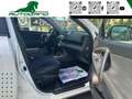 Toyota RAV 4 RAV4 Crossover 2.2 D-Cat A/T 150 CV Executive Weiß - thumbnail 11