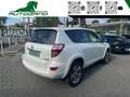 Toyota RAV 4 RAV4 Crossover 2.2 D-Cat A/T 150 CV Executive Weiß - thumbnail 3