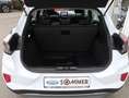 Ford Puma Titanium, Glas-Panoramadach, Winter Paket - thumbnail 7
