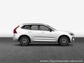 Volvo XC60 XC60 T8 AWD Recharge Geartronic R-Design Weiß - thumbnail 5