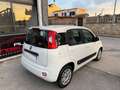 Fiat Panda Panda 1.3 MJT 80 CV S&S Easy Blanc - thumbnail 4