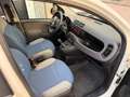 Fiat Panda Panda 1.3 MJT 80 CV S&S Easy Blanc - thumbnail 5