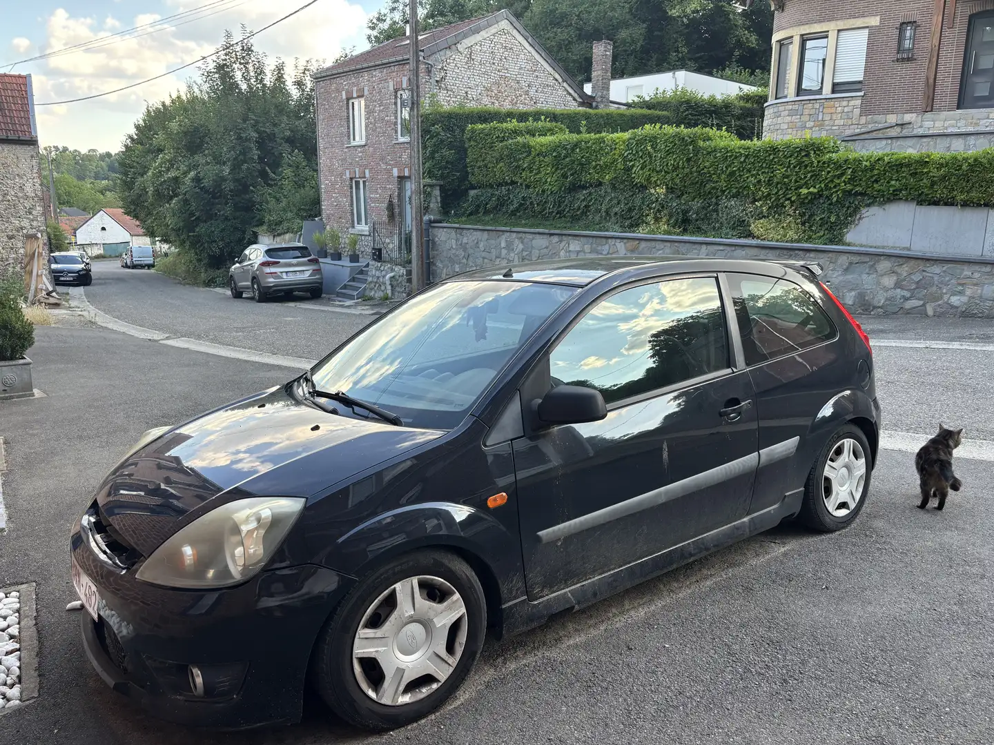 Ford Fiesta 1.6 Turbo TDCi 16v Trend - 1