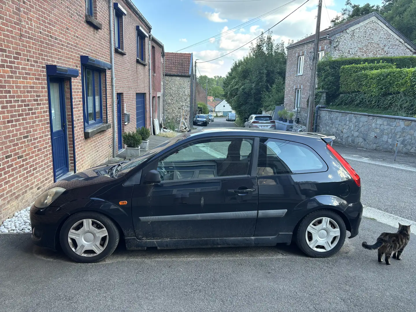 Ford Fiesta 1.6 Turbo TDCi 16v Trend - 2