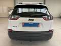 Jeep Cherokee CHEROKEE LIMITED 2.0 T 4WD LEDER NAVI XENON AHK bijela - thumbnail 5