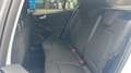 Ford Focus ST-Line Weiß - thumbnail 20