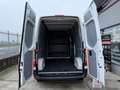 Mercedes-Benz Sprinter L2H2*F39/33 311 CDI FWD*08/2022*PORTATA 1087KG Blanc - thumbnail 13