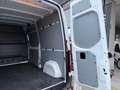 Mercedes-Benz Sprinter L2H2*F39/33 311 CDI FWD*08/2022*PORTATA 1087KG Blanc - thumbnail 16
