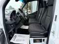 Mercedes-Benz Sprinter L2H2*F39/33 311 CDI FWD*08/2022*PORTATA 1087KG Blanc - thumbnail 7
