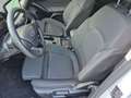 Ford Focus Turnier Titanium+NAVI+KAMERA Weiß - thumbnail 11