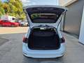 Ford Focus Turnier Titanium+NAVI+KAMERA Weiß - thumbnail 17
