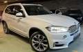 BMW X5 X5 xDrive50i 450 ch Lounge Plus A Blanc - thumbnail 3