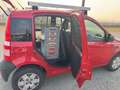 Fiat Panda 1.3 MJT DPF Van Active 2 posti Rosso - thumbnail 8