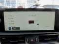 Lexus ES 300 h Business Line Klimaaut., Sitzhzg. Kamera Argento - thumbnail 14
