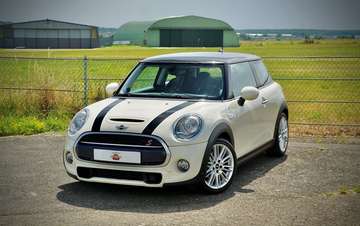 S F56 Pepper White