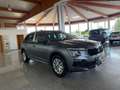 Skoda Kamiq Selection DSG Grau - thumbnail 3