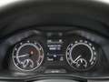 Skoda Scala 1.0 TSI Ambition / Cruise / LED / Carplay Blu/Azzurro - thumbnail 14