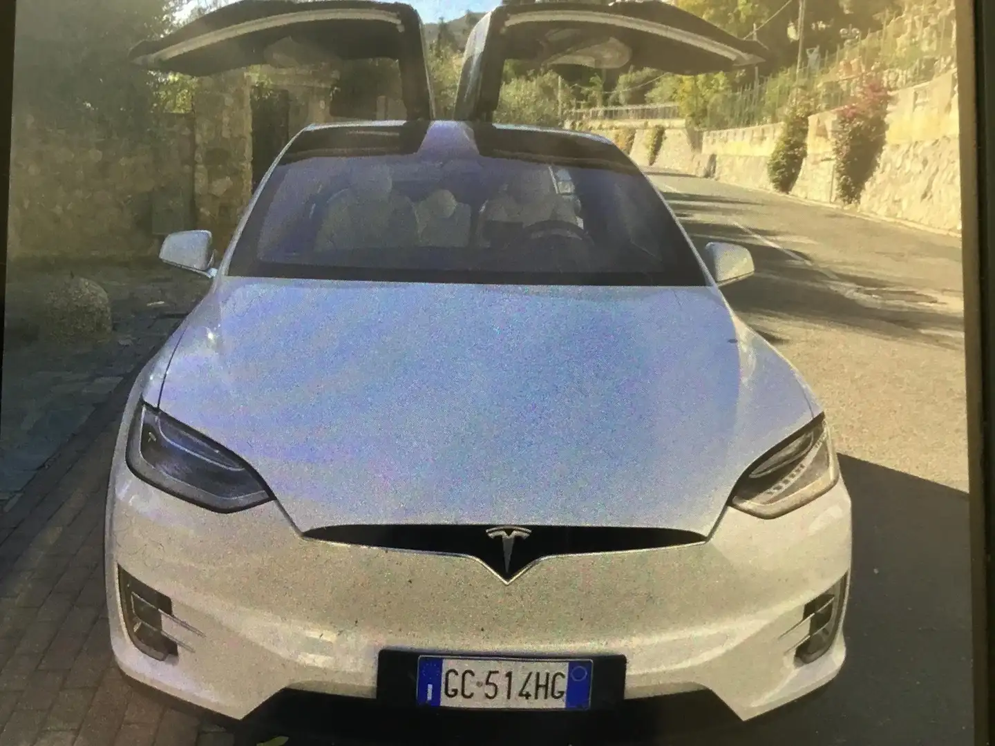 Tesla Model X Model X Performance Dual Motor awd White - 2