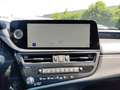 Lexus ES 300 h Business Line sofort verfügbar /SHZ/elSitz Argento - thumbnail 10