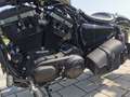Harley-Davidson Sportster Forty Eight Jekill & Hyde Grijs - thumbnail 7