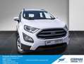 Ford EcoSport 1.5 EcoBlue COOL&CONNECT Weiß - thumbnail 1