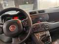 Fiat Panda LOUNGE PREMIUM 1.2 BENZ 69CV - COMANDI AL VOLANTE Blanco - thumbnail 11