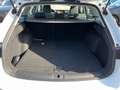 SEAT Leon ST Style TDI DSG| ACC*LED*SZHZ Weiß - thumbnail 15