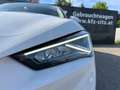 SEAT Leon ST Style TDI DSG| ACC*LED*SZHZ Weiß - thumbnail 34