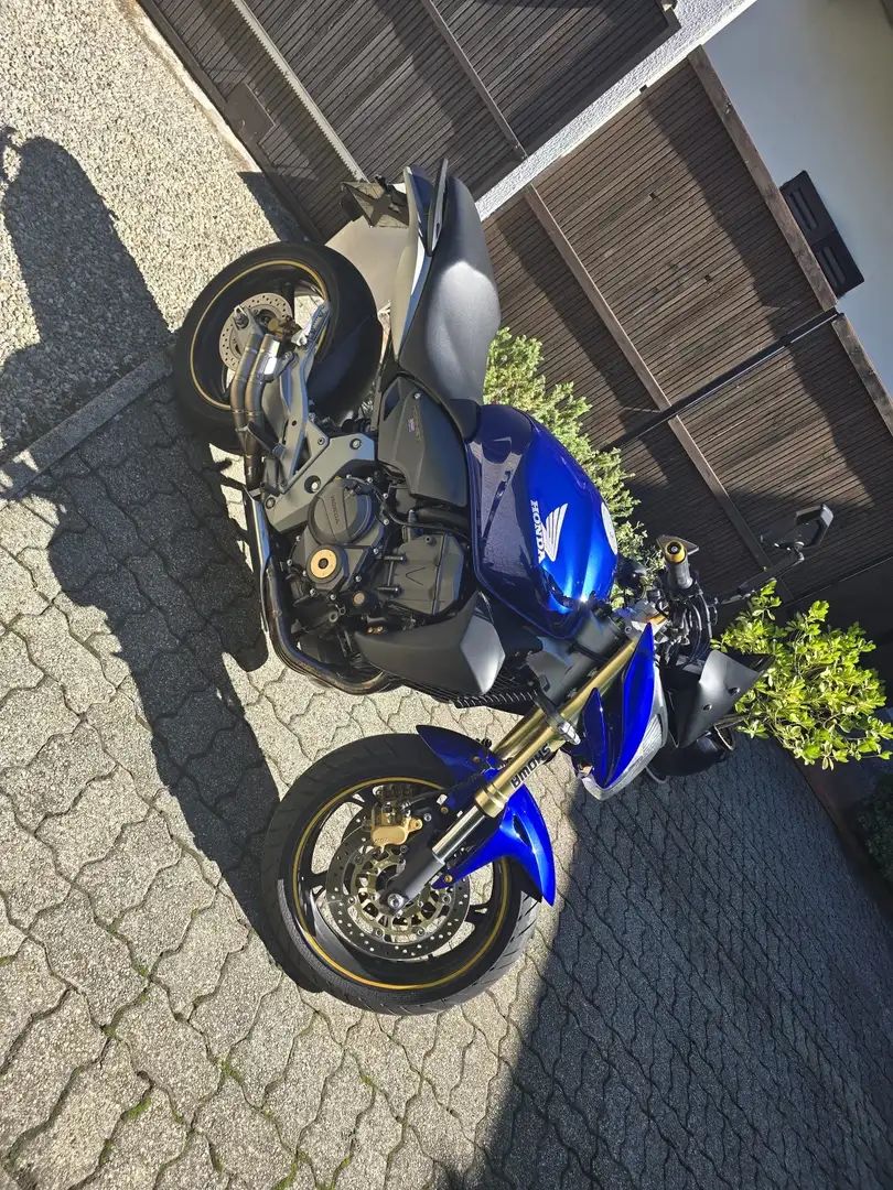 Honda CBF 600 Ornet 600 Niebieski - 1