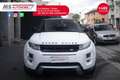 Land Rover Range Rover Evoque Land Rover RR Evoque 2.2 TD4 5p. Prestige Unicopr Blanc - thumbnail 10