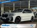 BMW X3 0d M Sport SurView Sitzbel.DrivAssProf.HUD Grau - thumbnail 1