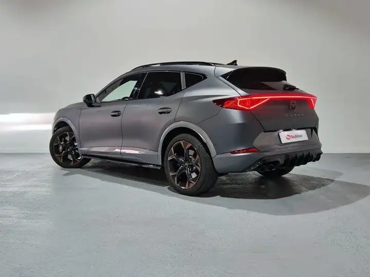 Cupra Formentor 2.0 TSI 4Drive DSG 2022, foto 2