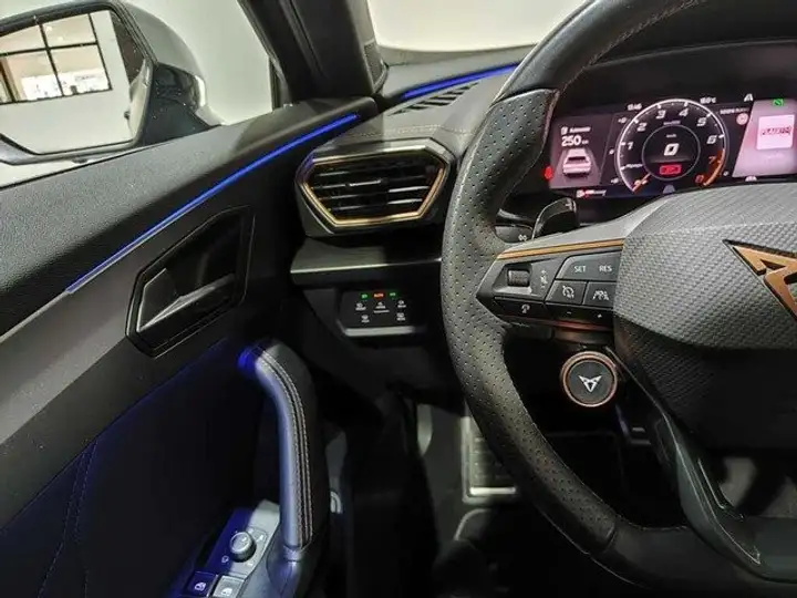 Cupra Formentor 2.0 TSI 4Drive DSG 2022, foto 7