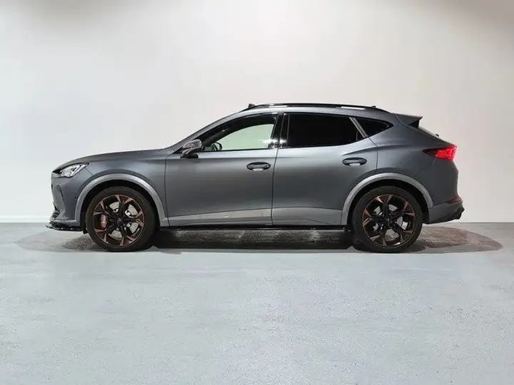 Cupra Formentor 2.0 TSI 4Drive DSG 2022, foto 4
