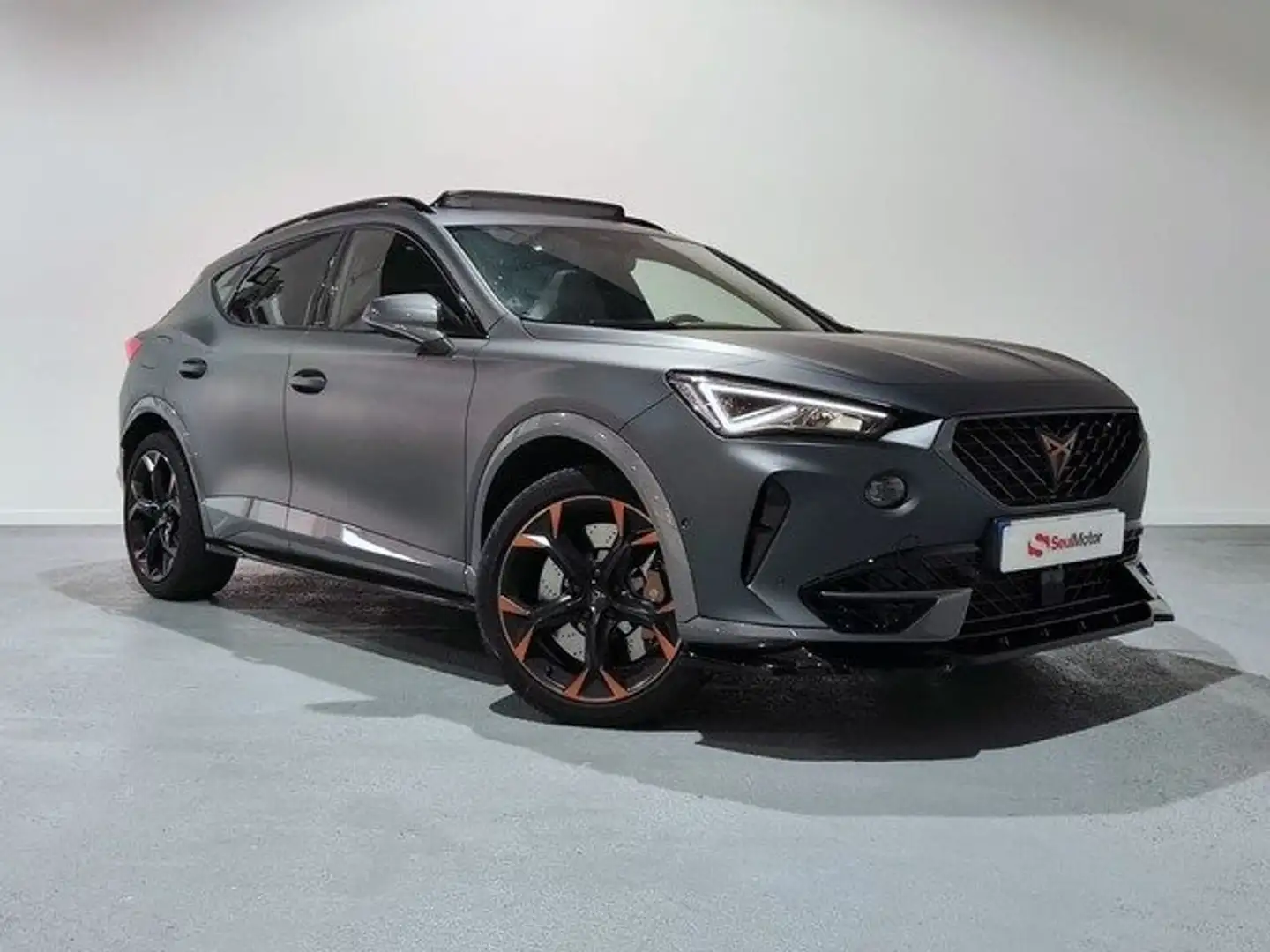 CUPRA Formentor 2.0 TSI 310 VZ DSG 4Drive Gris - 1