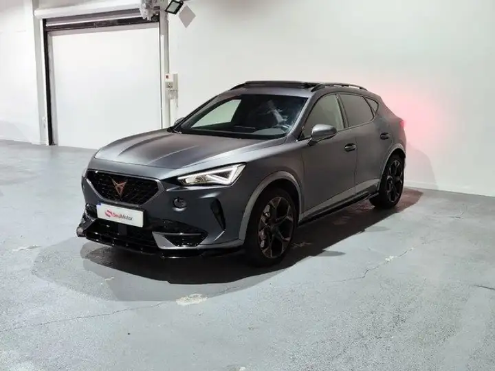 Cupra Formentor 2.0 TSI 4Drive DSG 2022, foto 25