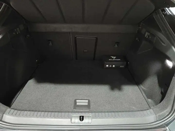 Cupra Formentor 2.0 TSI 4Drive DSG 2022, foto 22