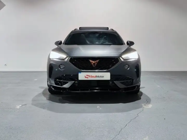 Cupra Formentor 2.0 TSI 4Drive DSG 2022, foto 24