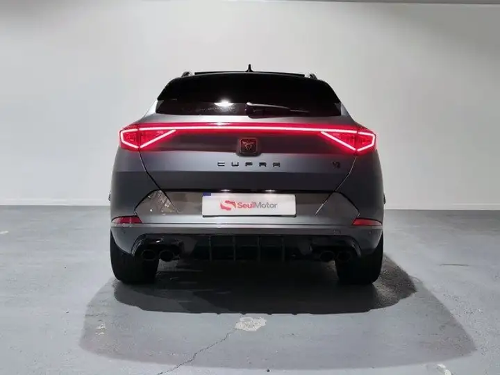 Cupra Formentor 2.0 TSI 4Drive DSG 2022, foto 27