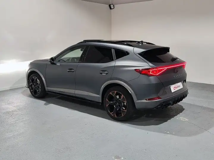 Cupra Formentor 2.0 TSI 4Drive DSG 2022, foto 26