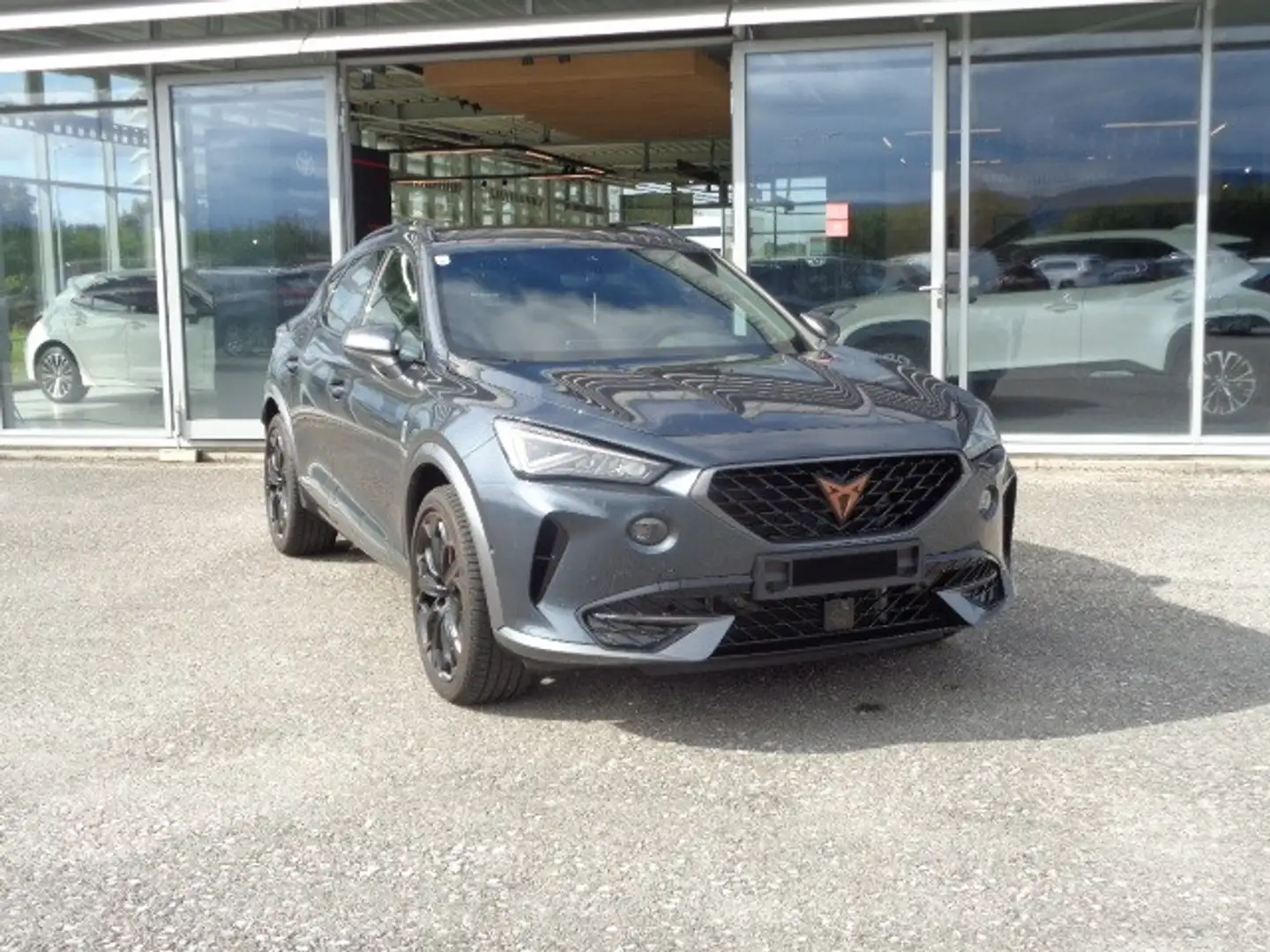 CUPRA Formentor 1,5 TSI Cupra DSG *Lederpaket *Assistenz-Paket XL Grigio - 1