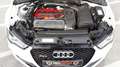 Audi RS3 RS3 SB 2,5 TFSI  Sportback Weiß - thumbnail 7