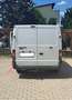 Ford Transit FT 280 K Vario 4.23 2,2 TDCi Weiß - thumbnail 2