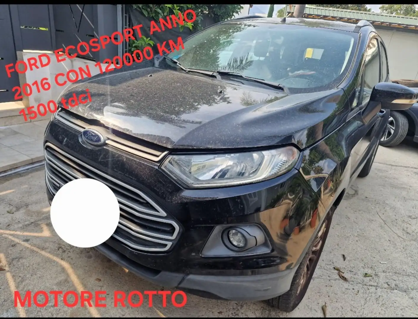 Ford EcoSport EcoSport 2014 1.5 tdci Business 95cv E6 Black - 1