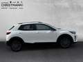 Kia Stonic NIGTHLINE EDITION 1.0 T-GDI MILD-HYBRID *NAVIGATIO Weiß - thumbnail 6